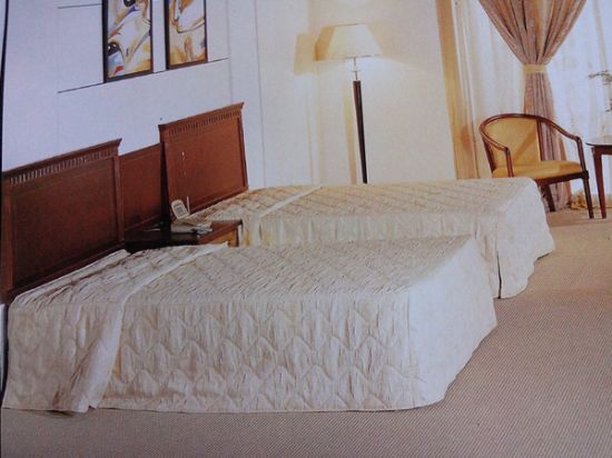 點擊查看詳細信息<br>標(biāo)題：客房系列 閱讀次數(shù)：2108